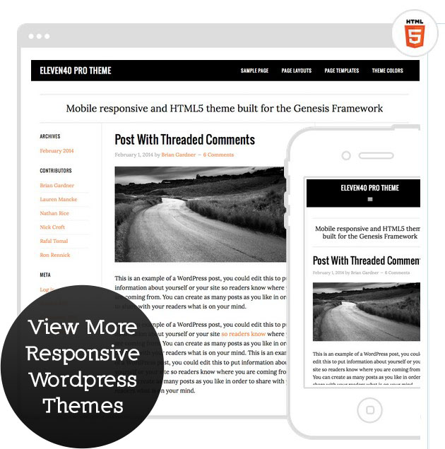 responsive theme